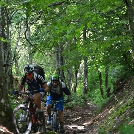 La Del Podesta Cinque Terre Manarola