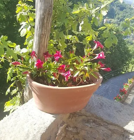 La Del Podesta Cinque Terre 3* Manarola