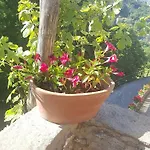 La Del Podesta Cinque Terre 3* La Spezia
