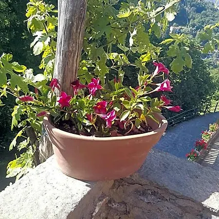 La Del Podesta Cinque Terre La Spezia