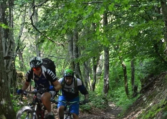 La Del Podesta Cinque Terre La Spezia